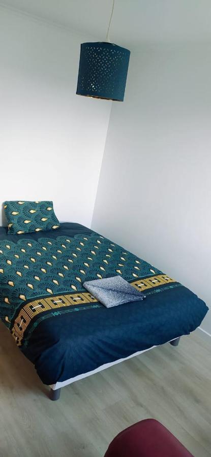 Chez Erwan & Elizabeth Apartment แรนส์ ภายนอก รูปภาพ